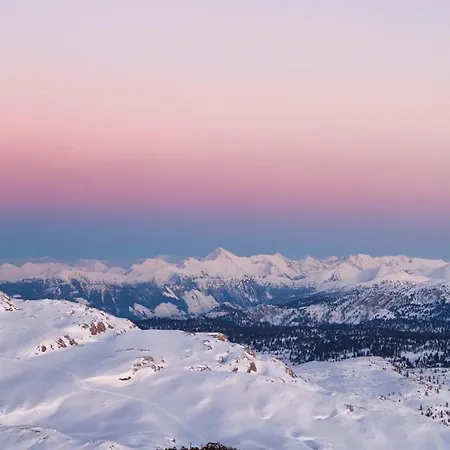 Brigitte Appartement Obertraun